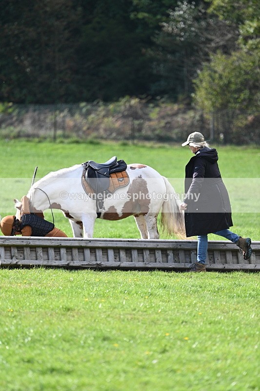 WJ7_3983 - 40cm Time 10:26 to 10:42