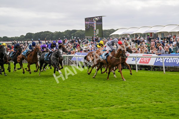 220824-Race 3-Thunder Run-7037 - Race 3 3.00pm Clipper Handicap