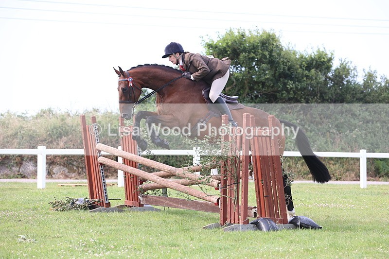 JPP_4186 - Class 25: Working Show Horse