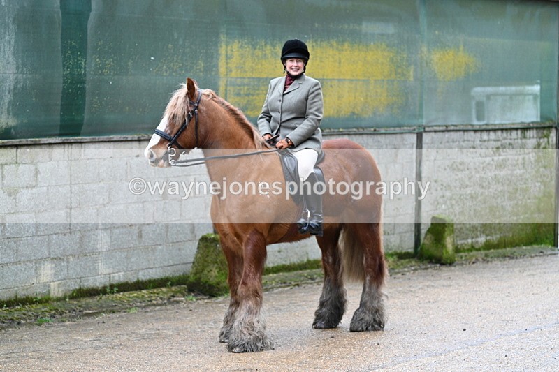 WJ7_8716 - Berks & Bucks - Rowles Farm 15-02-26