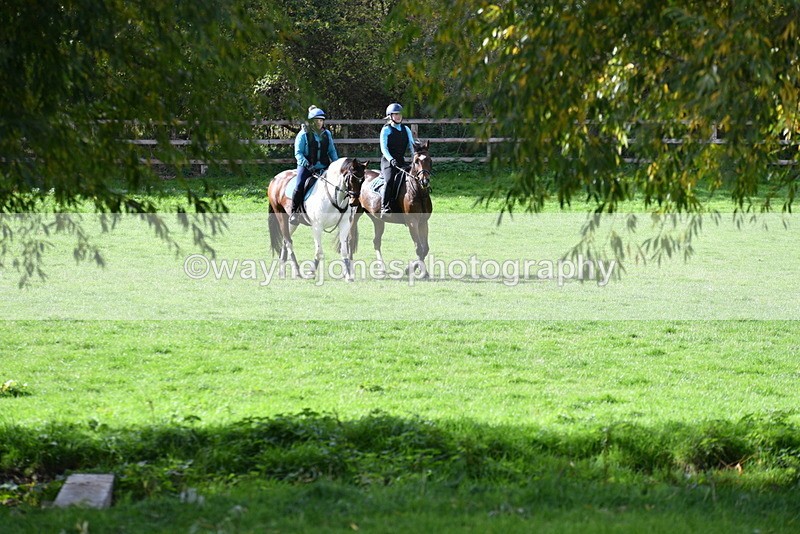 WJ5_8378 - Time 12:02 to 12:32