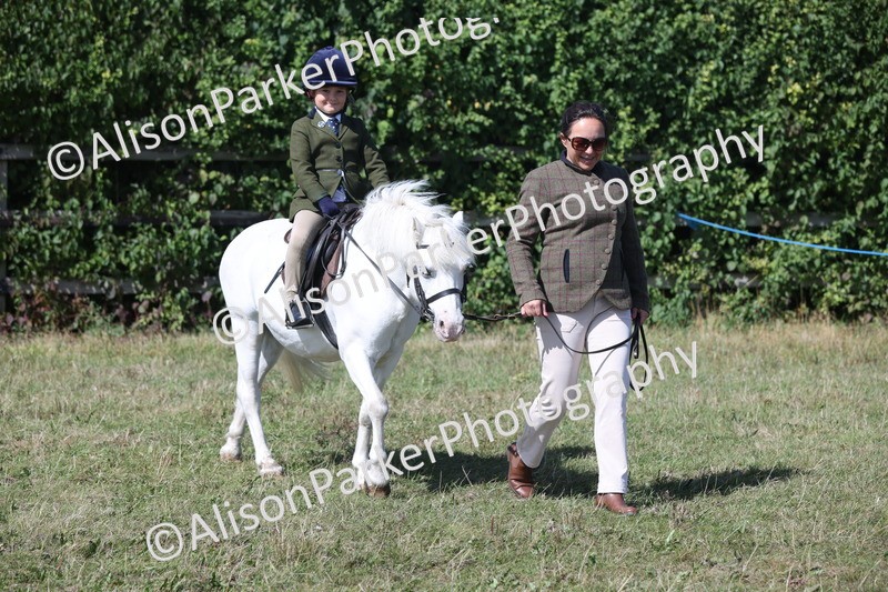 20250831-3151 - Class 24 - Absolute Beginners Pony