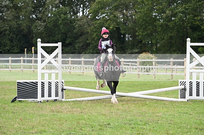 WJ6_0166 - 40cm Time 10:00 to 10:28