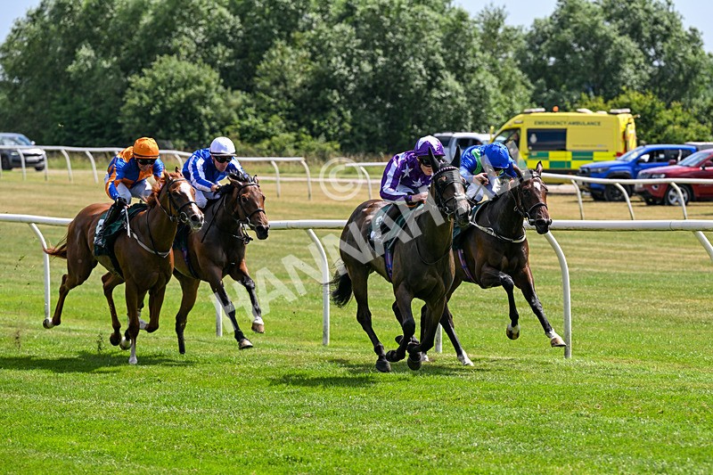 080726-Race 2-Penny Capri-6845 - Race 2 14.30pm Download The Raceday Ready App Nursery Handicap