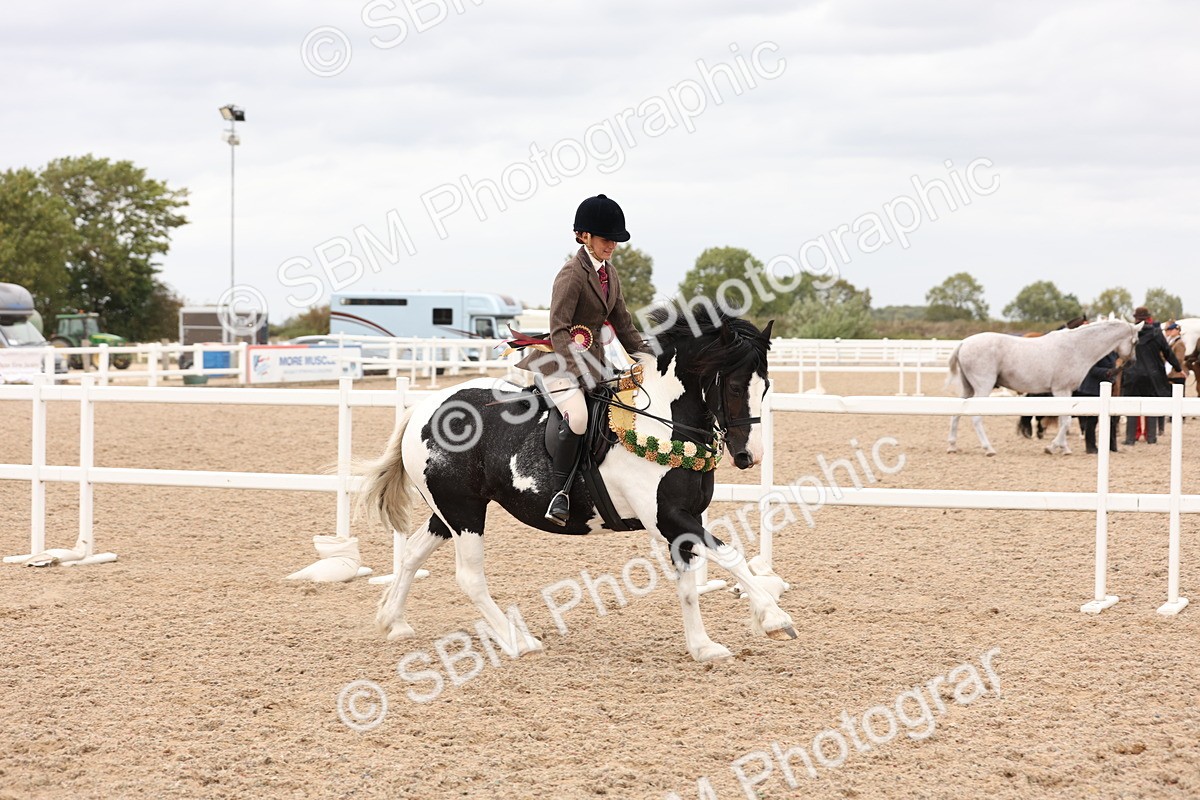 SBM_19748 - Class 216 - Ridden Traditional - Native Cob