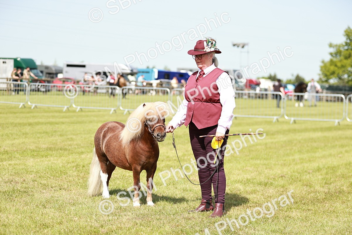 SBM_02026 - Class 14-23 - Mountain & Moorland In Hand Non Welsh