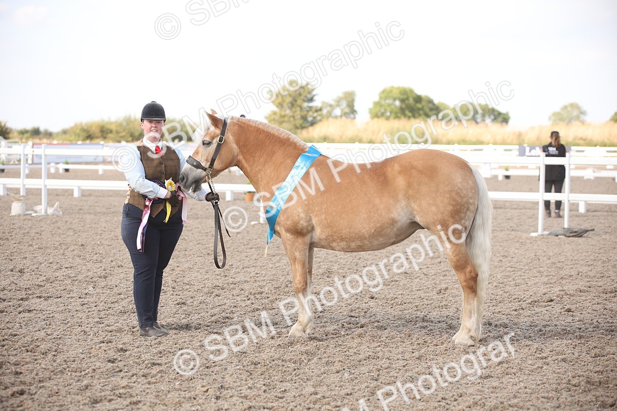 SBM_07153 - Class 25 IH Foreign Breeds- Pure bred