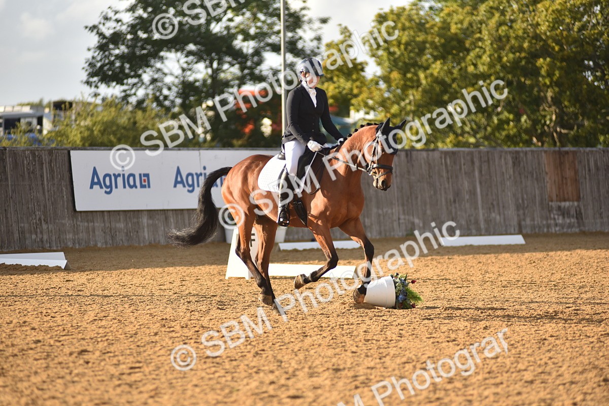 SBM_29803 - D16 -Small Tour Championship Novice 2