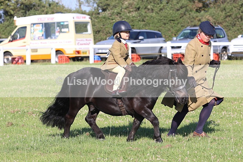 JPP_0805 - Class 16: Cornish Combination Leading Rein
