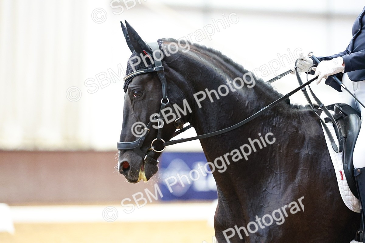SBM_004007