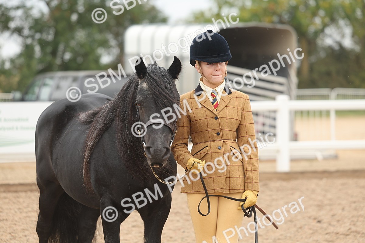 SBM_00548 - Class 13 Young Handler