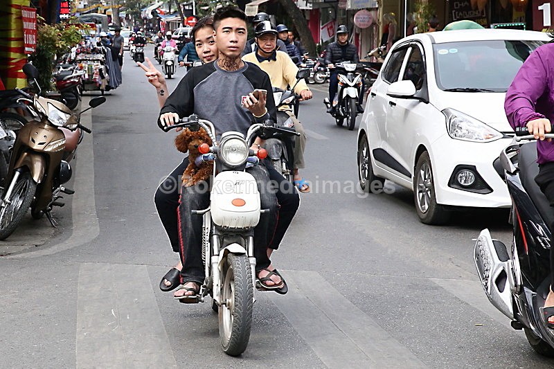 VIET_1225 - Vietnam 2017