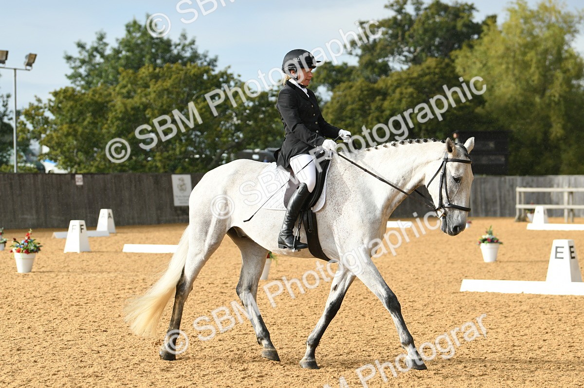 SBM_11159 - D28 Elementary Taster Elementary 42