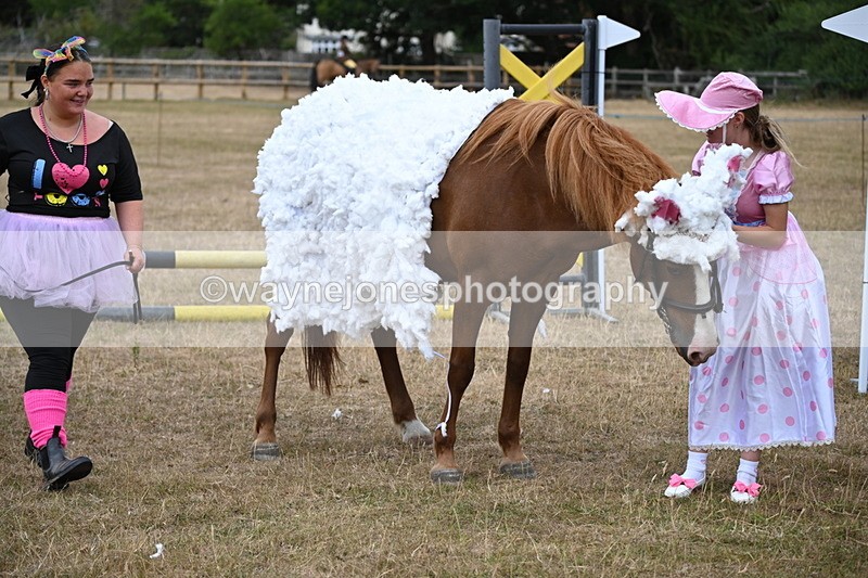 WJ6_8722 - Class 11 Fancy Dress