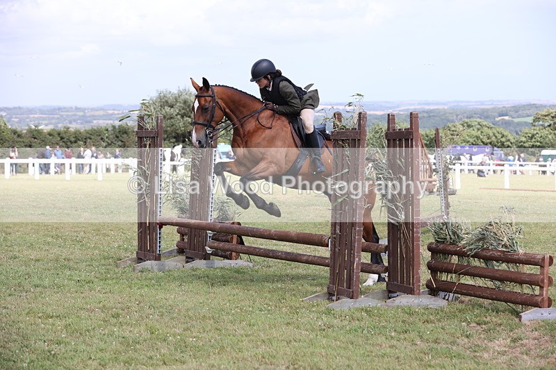 JPP_2066 - Class 19: Working Hunter 60cm