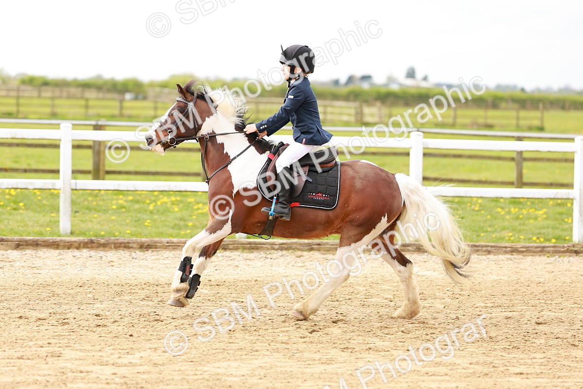 SBM_003720 - Class 3 - 60cm