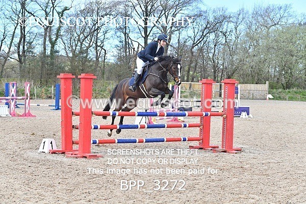 BPP_3272 - CLASS 4 Senior Discovery/ 1m Open