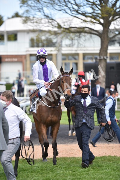 yr13052021r4-29 - Race 4 3.10pm Al Basti Equiworld Dubai Dante Stakes