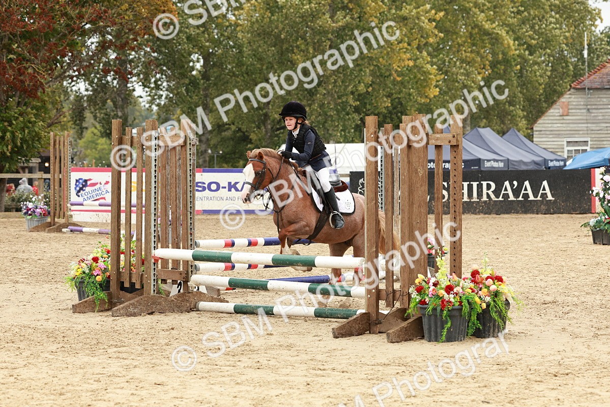 SBM_69156 - J13 - Junior Pony 60cm Championship