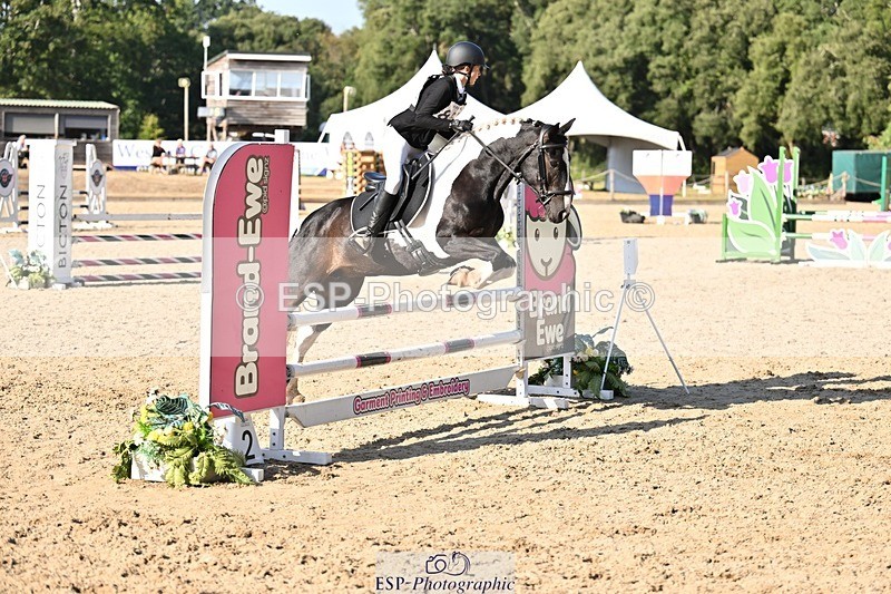 250823A-171400-33837 - PC80 Jump Off