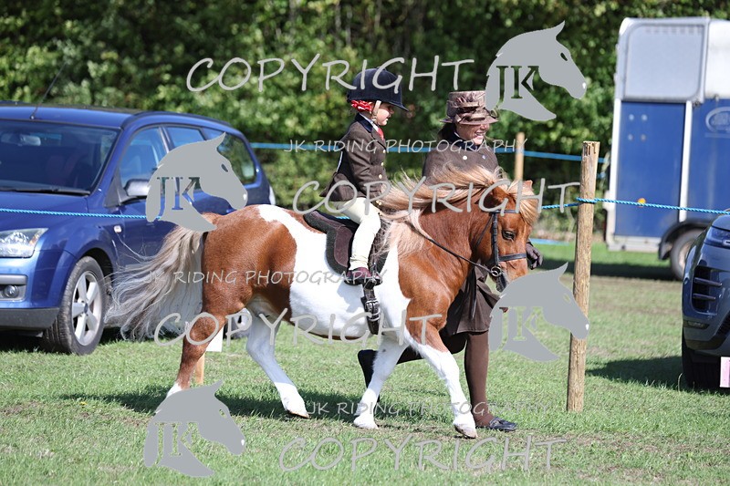 APP_3817 - Class 13 Lead rein