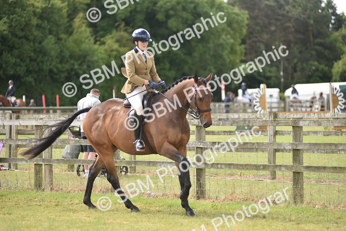 SBM_15078 - Class 113-114 - Retraining of Racehorses Ridden