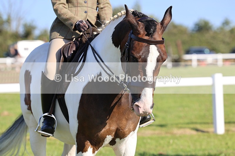 IMG_1337 - Class 27: Ridden Plaited Coloured Horse