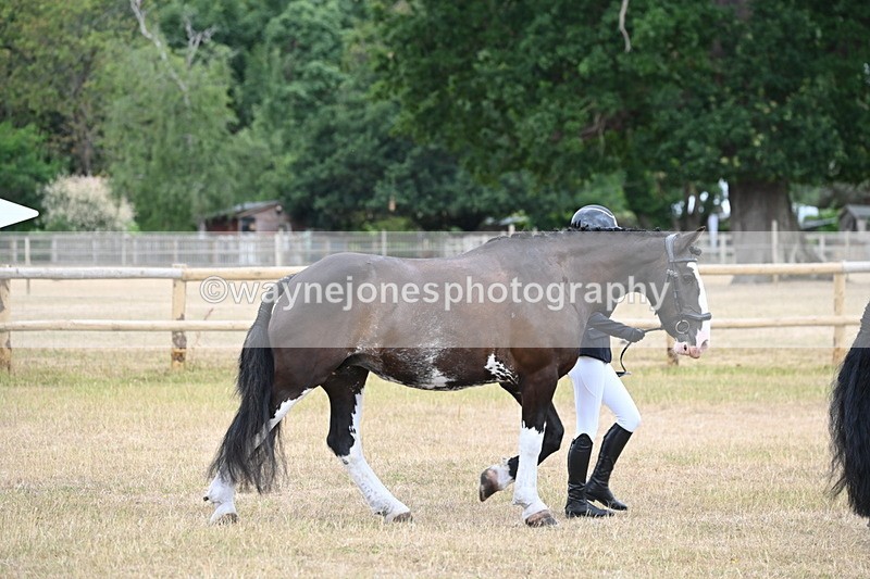 WJ6_7847 - Class 10 Coloured in Hand