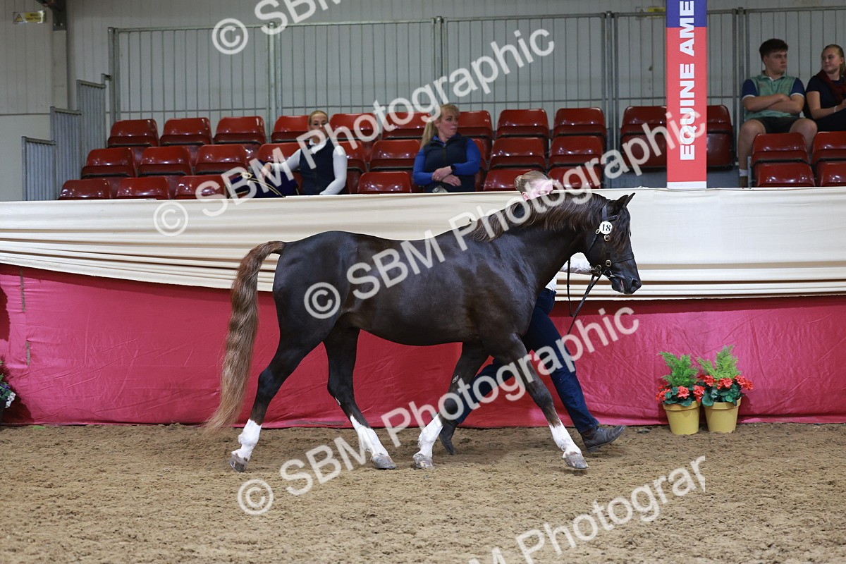 SBM_17442 - Class 951 - M&M IH Supreme Final