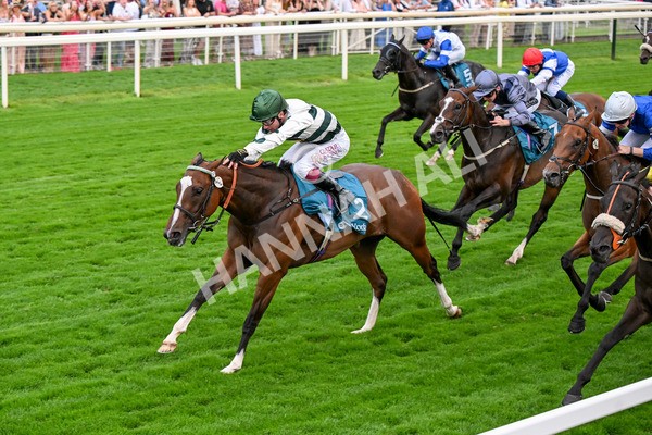 250725-Race 6-Luna A Inbhir Nis-0843 - Race 6 8.23pm Sky Bet Go-Racing-In-Yorkshire Summer Festival Handicap