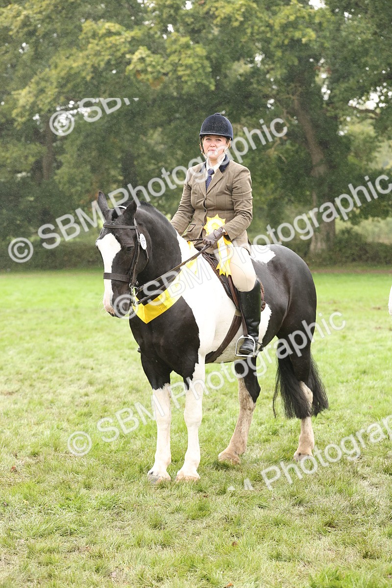 SBM_69863 - S69 - Show Cob Ridden