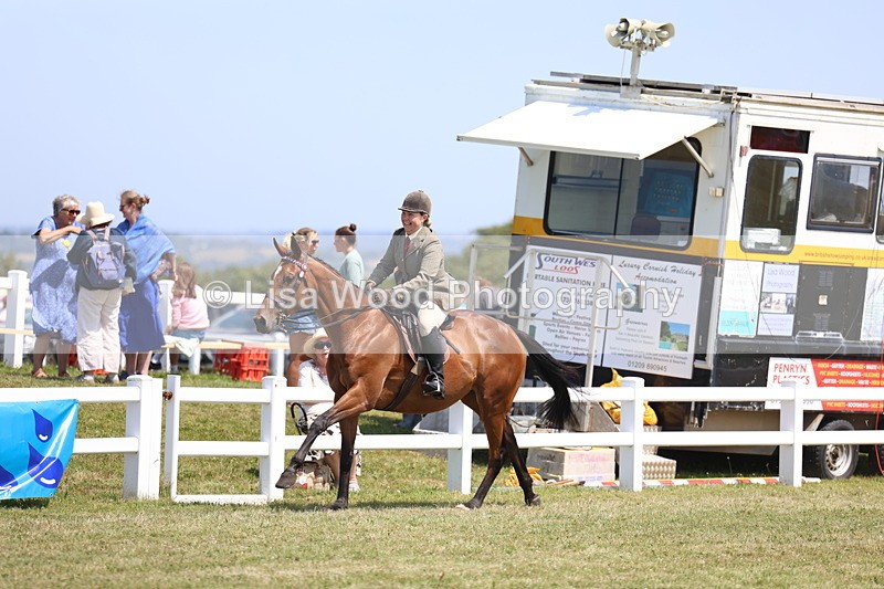 3E7A9364 - Class 12: Open Racehorse to Show Horse