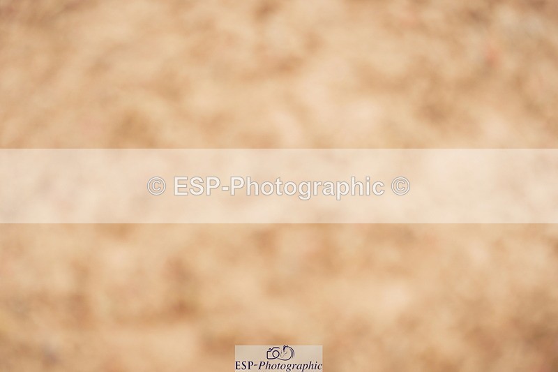 240524A-122506-03492 - Cls 15 Foxhunter