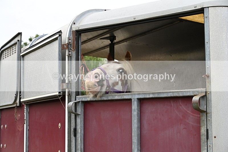 WJ6_3009 - Berks & Bucks - The Old farmhouse - Hound Exercise 20-08-25