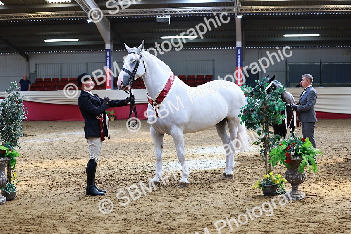 SBM_23288 - Class 903 - Supreme Final - IH Pre Vet