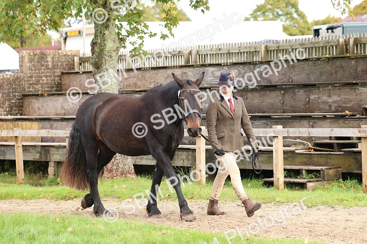SBM_40711 - S25 -  Veteran In Hand