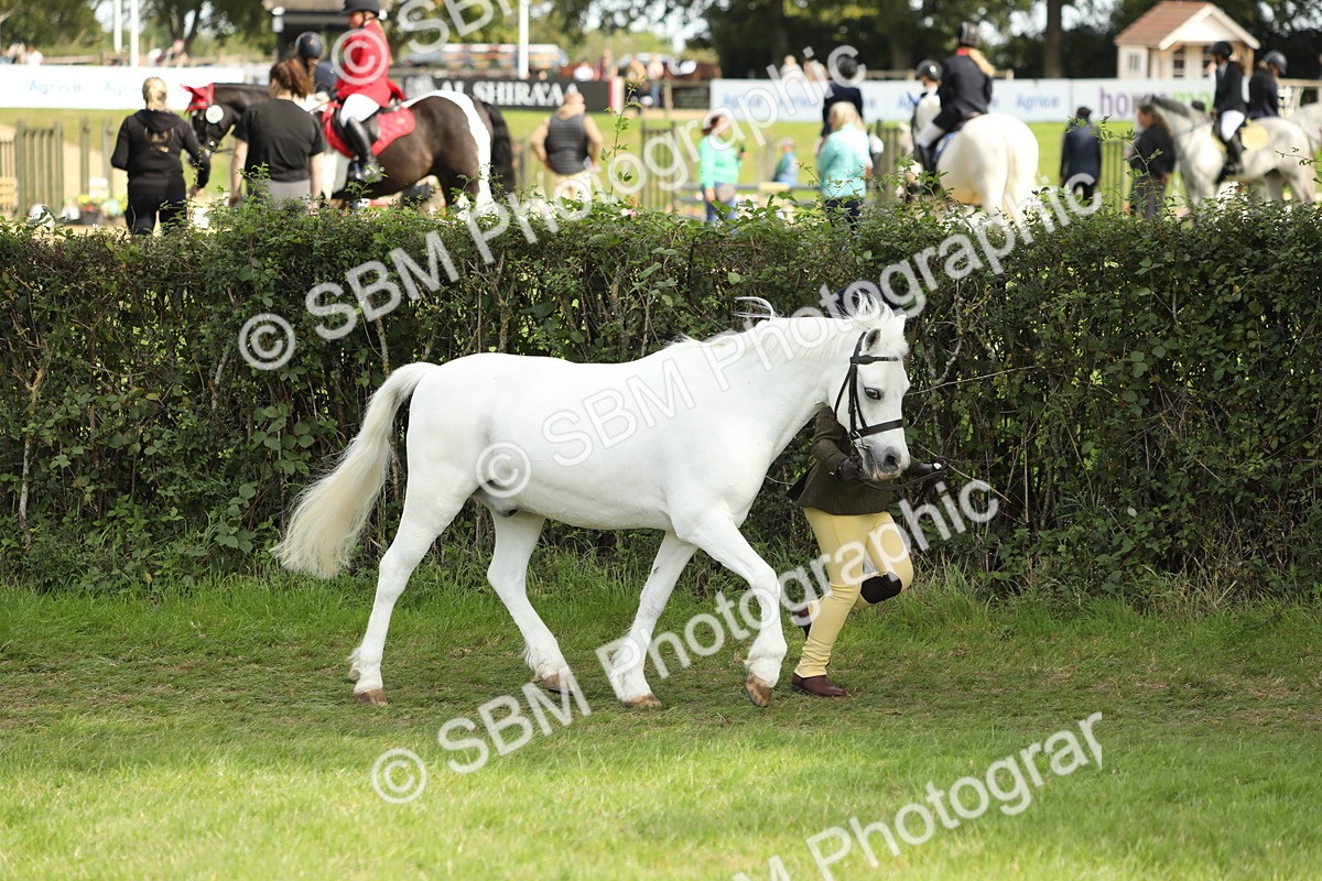 SBM_67724 - S39 - Junior Handler 8  Years & Under