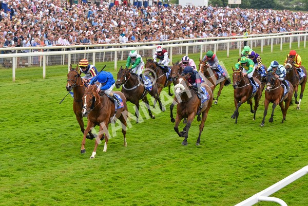 170623-Race 2-Wild Lion-6996 - Race 2 2.35pm Sky Bet Handicap