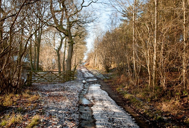The Speller - Wenlock Edge