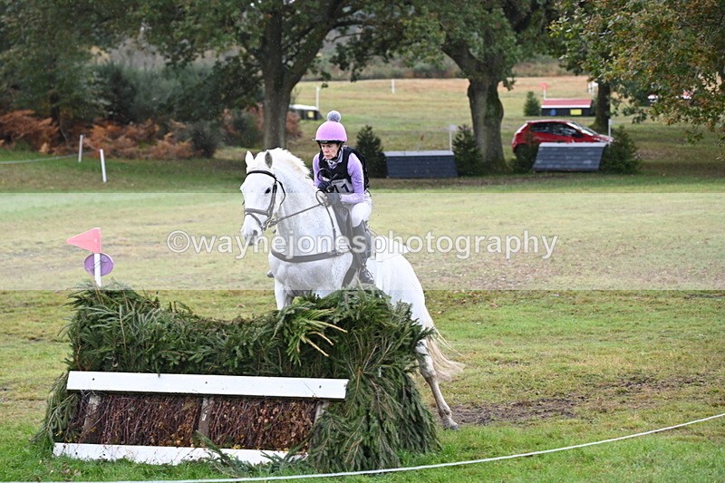 WJ6_1827 - 80cm Cam 1 Time 10:08 to 10:45