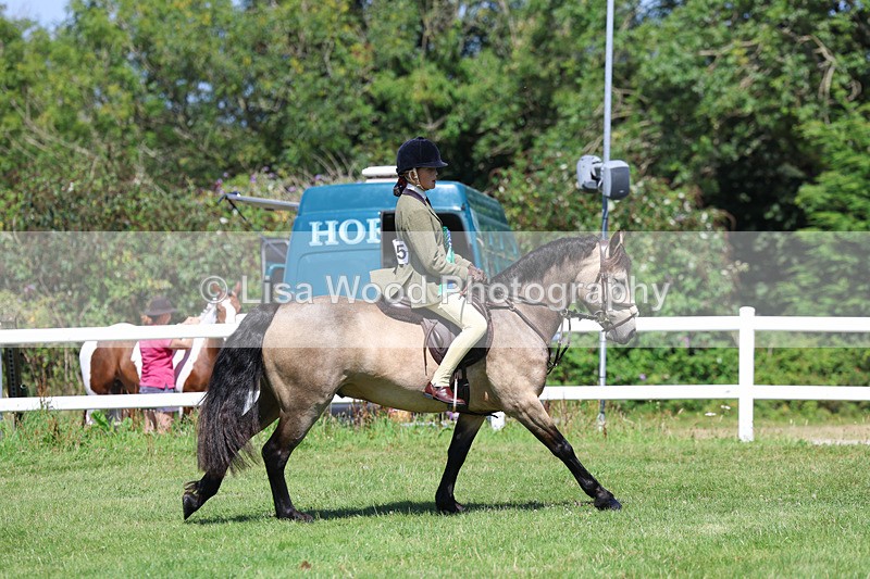3E7A9140 - Working Hunter Championship