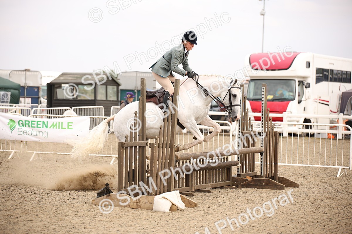 SBM_16155 - Class 409a - Working Veteran 80cm (15-19)