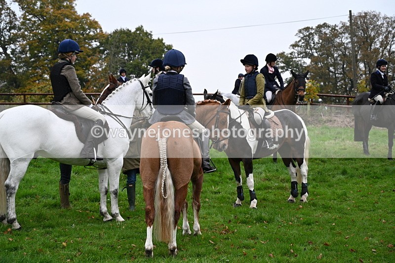WJ7_7395 - The Meet