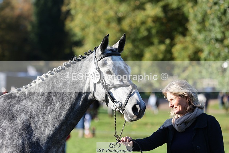 241027-091647-15180 - 320-Alice.Tollworthy-OUR.DOLPHIN.STAR