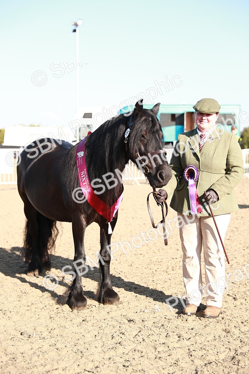 SBM_00145 - Class 40 Best Turned Out IH