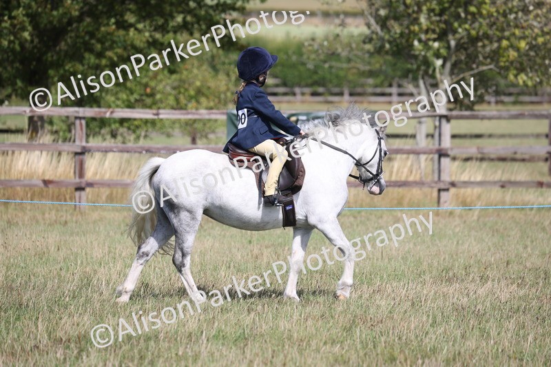 20260906-2563 - Class 18 - Childs First Pony