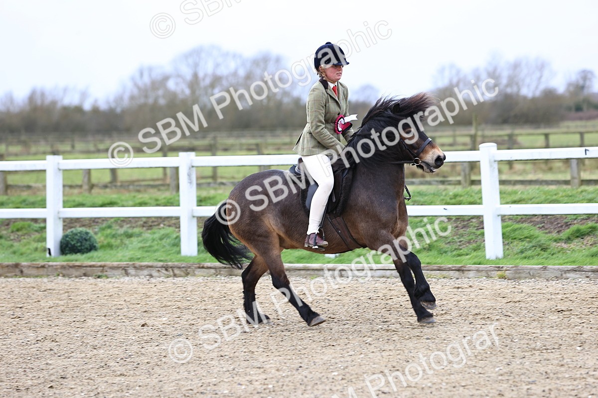 SBM_006877 - Class 29 - 30 - M&M Pure Novice Small-Large Breeds