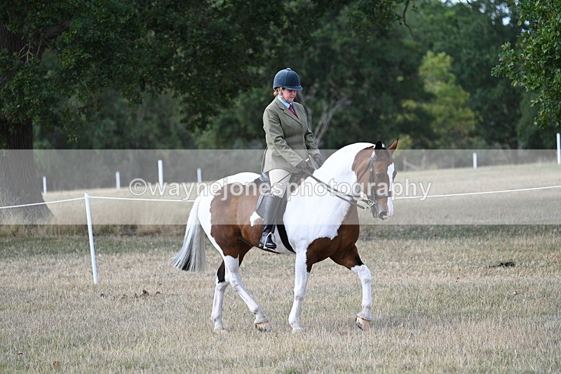 WJ7_6844 - Class 14 Ridden Coloured