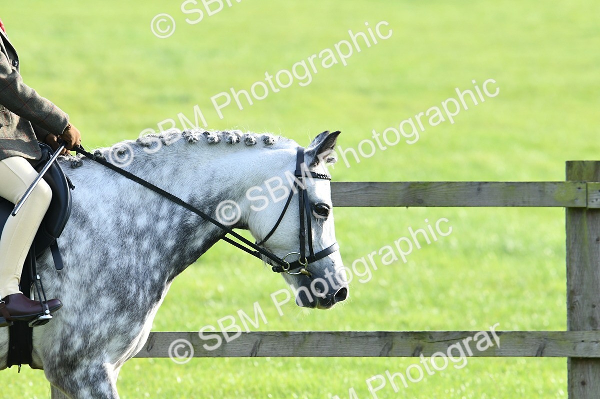 SBM_52349 - S22 - 1st Ridden Show & Show Hunter Pony