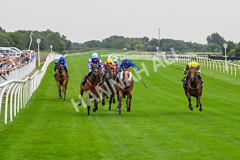 280824-Race 3-Too Much Too Young-4233 - Race 3